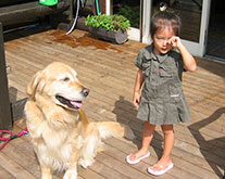 ロッジのテラスで遊ぶこどもと犬