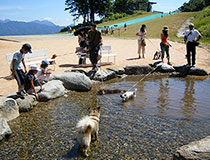 白馬47はワンちゃんもゴンドラで山頂へ